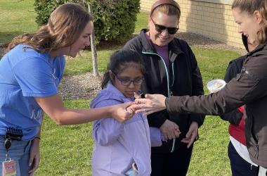 OBrown Butterfly Release